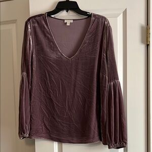 Elegant Purple Velvet Women's Top
